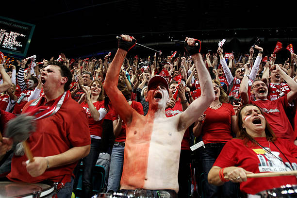 也许将是他 也许将是他